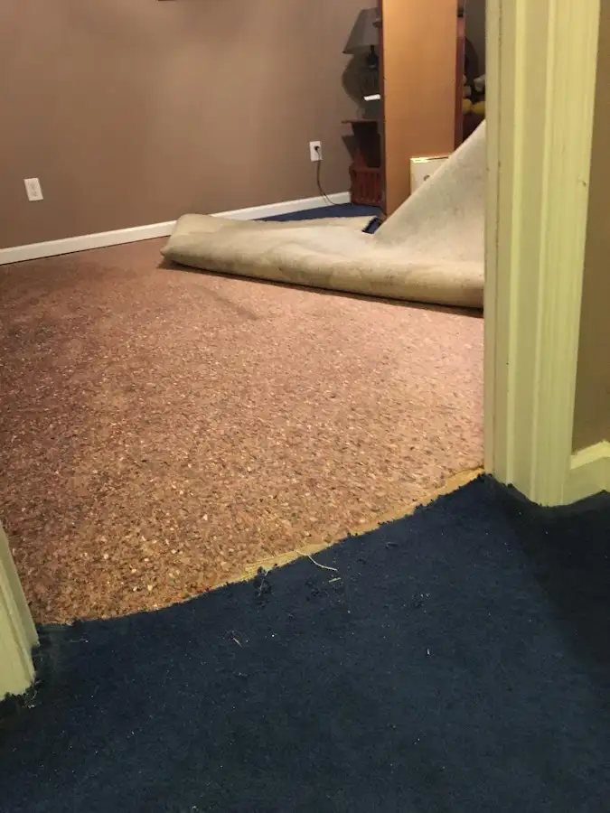 Carpet pad removal revealing water damage during Drying & Dehumidification in Monroe